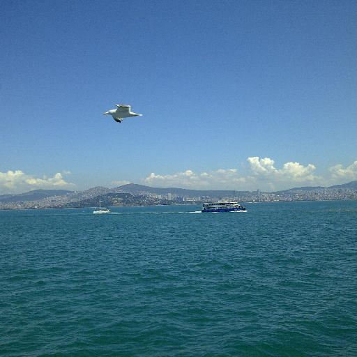 aysho333's profile picture. 