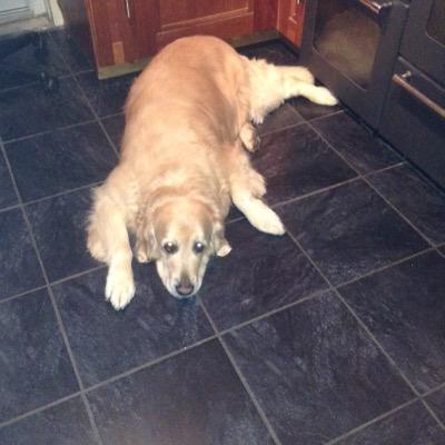 JoanneP98836913's profile picture.