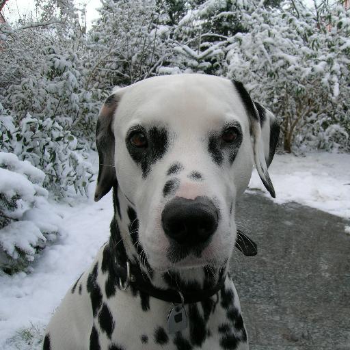 Der_Kinogaenger's profile picture. Kino- und Serienfan, Blogger, Autor