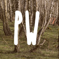 Pathless Woods (@_pathlesswoods_) 's Twitter Profile