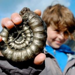 The official account for Charmouth Heritage Coast Centre. #VisitCharmouth
Registered Charity No. 1105386