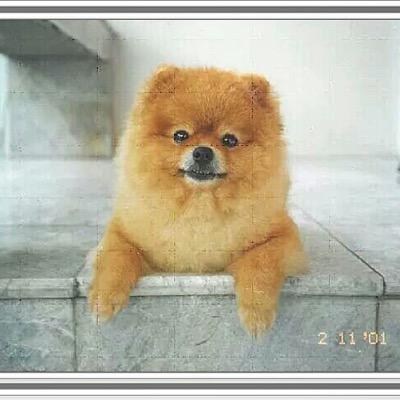 interlining's profile picture. 