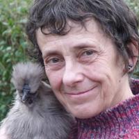 Helen Kay (@helenkay166) 's Twitter Profile