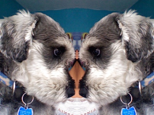 celtzin's profile picture. Estudiante de una de las carreras más hermosas 😍 #ilovenutricion😍