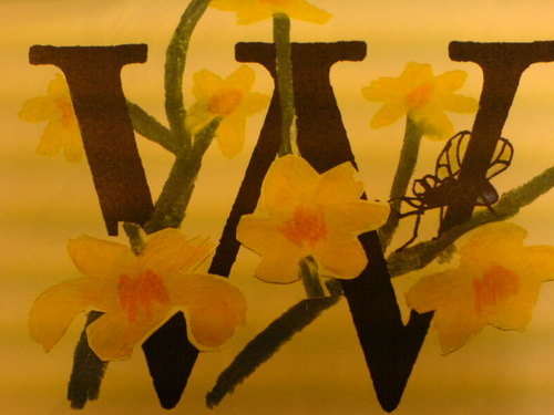 siaowei's profile picture. 