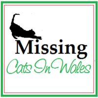 Missing Cats Wales(@missingcatwales) 's Twitter Profile Photo