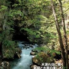 こここ