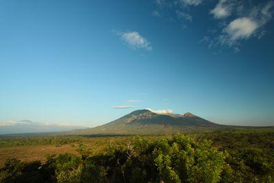 Welcome to Baluran National Park tourist information center, we will help some information for travelling in eastjava