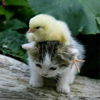 rena_1412's profile picture. コナンとか好きです(*・∨・*)
どうぞよろしくお願いします