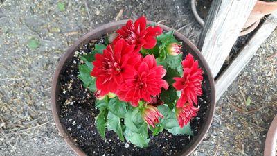 lpcoast's profile picture. Monterey Ranger District, Los Padres National Forest