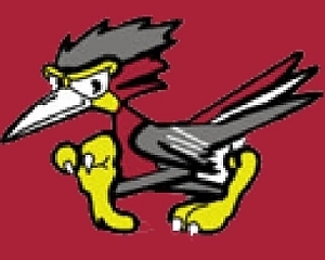 RobertsonRR's profile picture. 