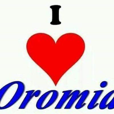 bbc4320's profile picture. kutataa