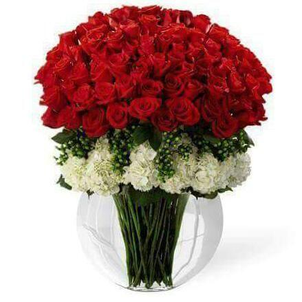 AshaMazimba's profile picture. never give up