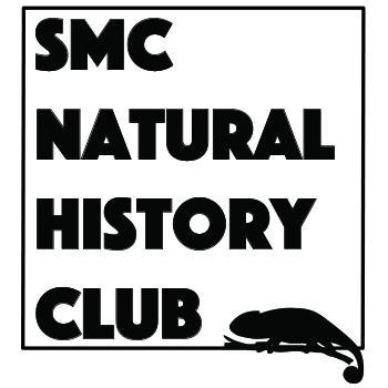 SMCNatHist's profile picture. Natural history notes, observations, and stories from the SMC Natural History Club.
