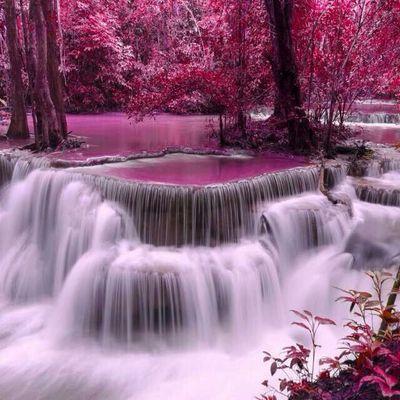 7421ab393d314c1's profile picture. Hiiiiii...............