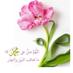 afa (@fabb88alfuad777) Twitter profile photo afa (@fabb88alfuad777) Twitter profile photo