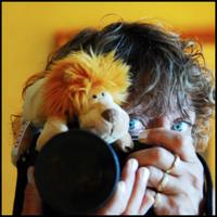 Janet Stowell (@janetmariew) 's Twitter Profile