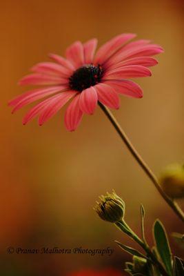 agtechnology22's profile picture. 