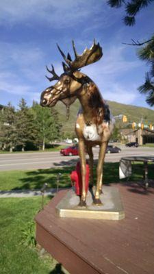 user2039311's profile picture. Retired user2039311