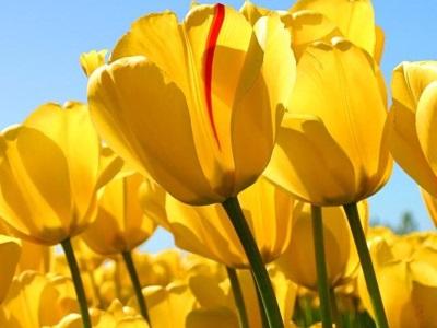 threadmill19's profile picture. É adolescete? Quer frases sbre dramas, crises, humor e paixões? Então me siga • Você irá se identificar  ツ