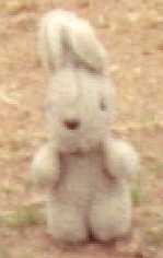 recreationally mulls over the names of all the characters and pets from classic Strawberry Shortcake. Ask me about Jelly Bear (she/her)