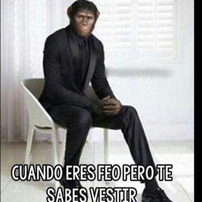 por qué solo soy un triste soñador que vive alucinando....