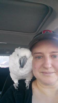 estepp79's profile picture. 