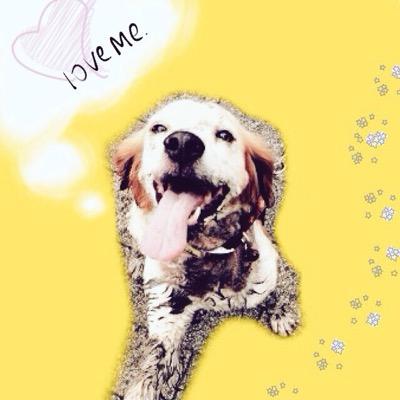 ぶうさんのプロフィール画像