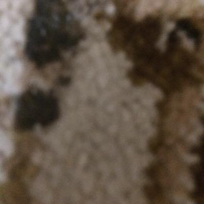 MM_1163119198's profile picture. 