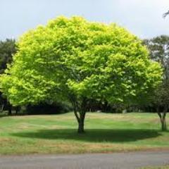 blueheavennc201's profile picture. 