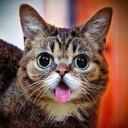 s_tarcin's profile picture.