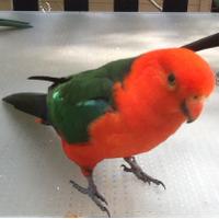 switterstwit (@swtters) 's Twitter Profile
