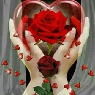 batisara65's profile picture. 