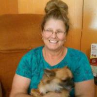 Betty Firestine - @BfFirestine Twitter Profile Photo