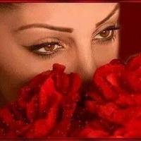 زهرة النرجس (@memeahmed8444) 's Twitter Profile Photo