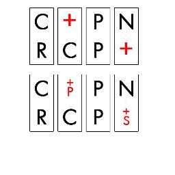 CPPN.RCPS Profile