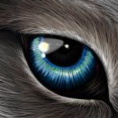 Zerelium's profile picture. 