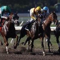 USARacingHorsePicks (@remateshipicos) 's Twitter Profile Photo