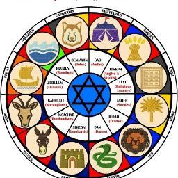 israeldavid996's profile picture. 