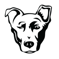 Alpha Media USA (@alphamediaus) 's Twitter Profile