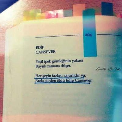 nismiriis's profile picture. Hem şairlere hem de kurucuya ait şiirler