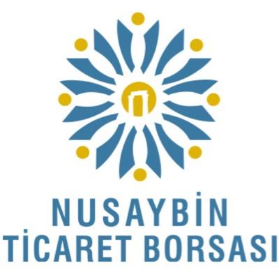 NusaybinTB Profile Picture