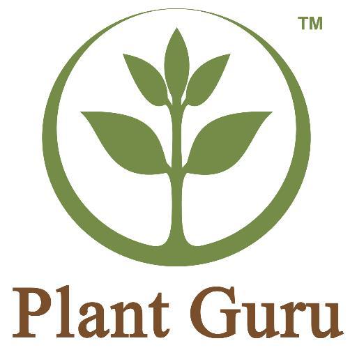 ThePlantGuru_ Profile Picture