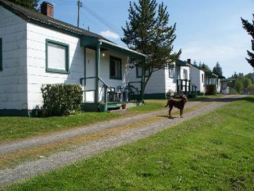 Private Cottages with full kitchens. Views of Discovery Bay in Port Townsend, WA. Kids and pets welcome! We have goats and chickens too!