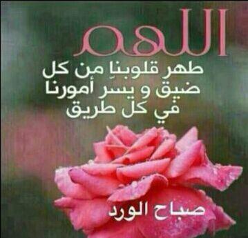 ksa___07mAMA's profile picture. الفقير الى الله