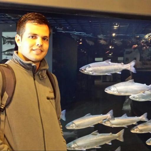 Costa Rican marine biologist and quantitative fisheries scientist. Ph.D. candidate at @marineinstitute @MemorialU. Study #fisheries #statistics #rstats. He/Him