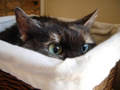 winterfleur's profile picture. everything is funny to me