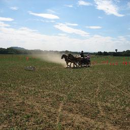 SolbergJacq's profile picture. 