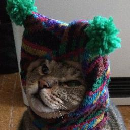 さめにゃんさんのプロフィール画像