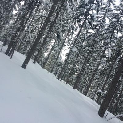 smnvl's profile picture. 